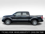 2014 Ford F-150 Platinum