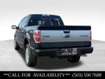 2014 Ford F-150 Platinum