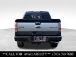2014 Ford F-150 Platinum