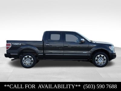 2014 Ford F-150 Platinum