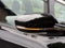 2019 Chevrolet Bolt EV Premier