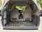 2015 Toyota Sienna XLE 8 Passenger