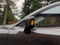 2014 Mazda Mazda3 s Grand Touring