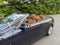 2014 BMW 4 Series 428i