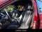2016 BMW 3 Series 320i xDrive