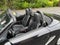 2007 Porsche Boxster Base